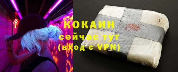 гашик Медногорск