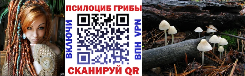 наркота  Семилуки  Галлюциногенные грибы ЛСД 