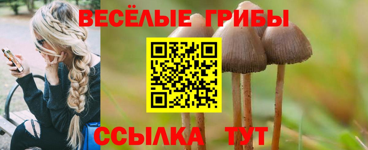 Семилуки  Галлюциногенные грибы Psilocybine cubensis  Вход с VPN 